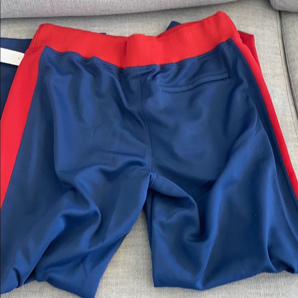 Large ||the north face|| pants